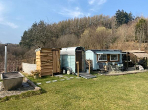 Belan Bluebell Woods Shepherds Hut